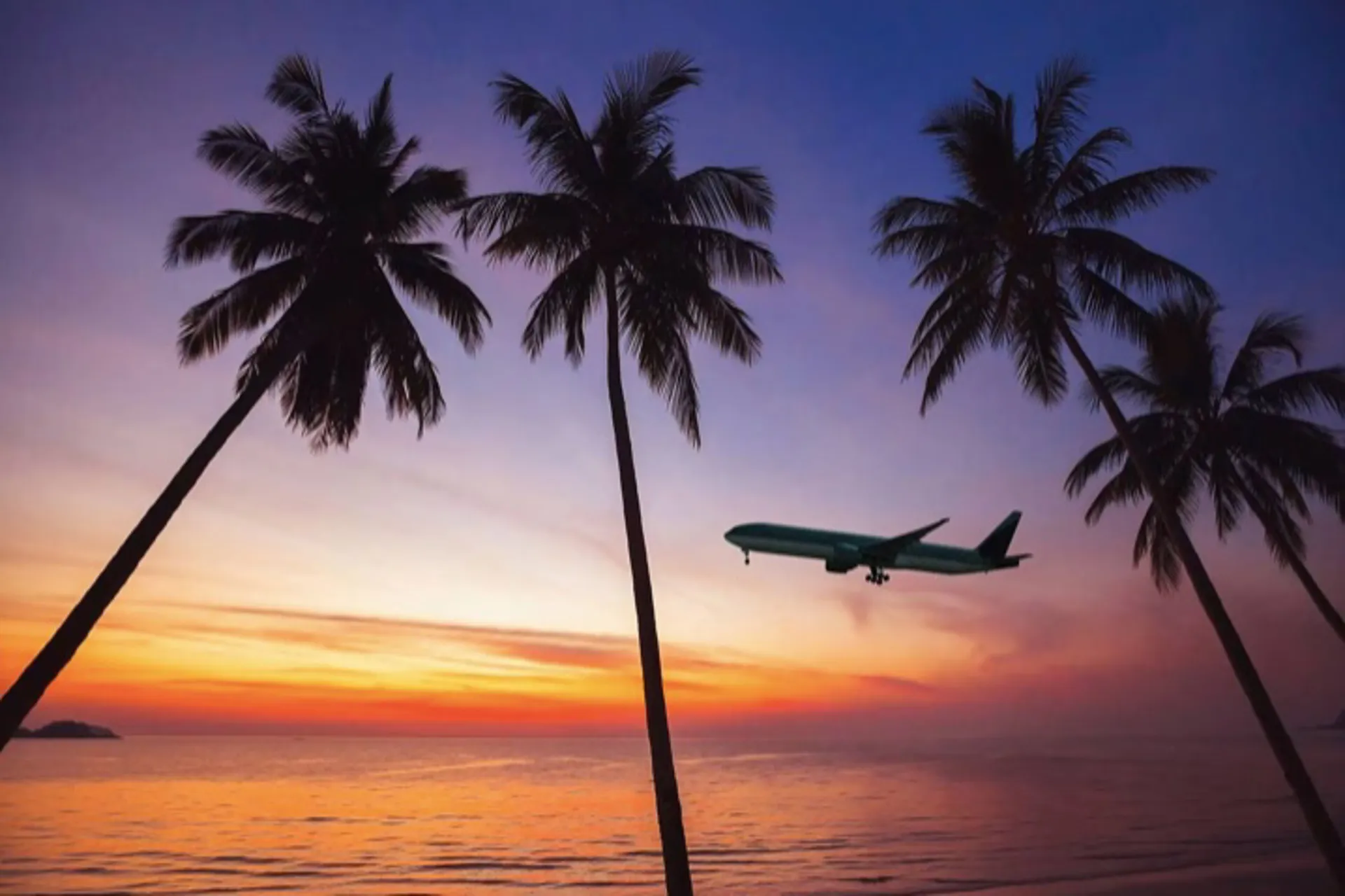 Google desarrolla una función para garantizar la tarifa aérea más baja