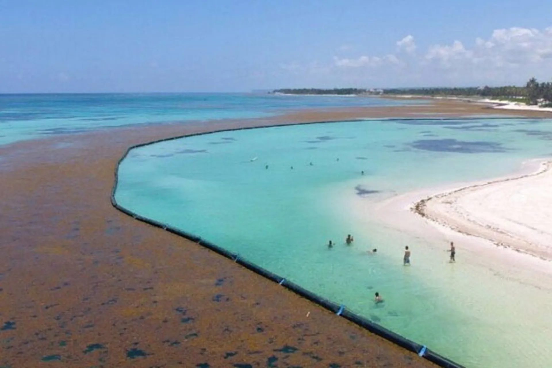 México instala barreras anti-sargaso a lo largo de la costa de QR