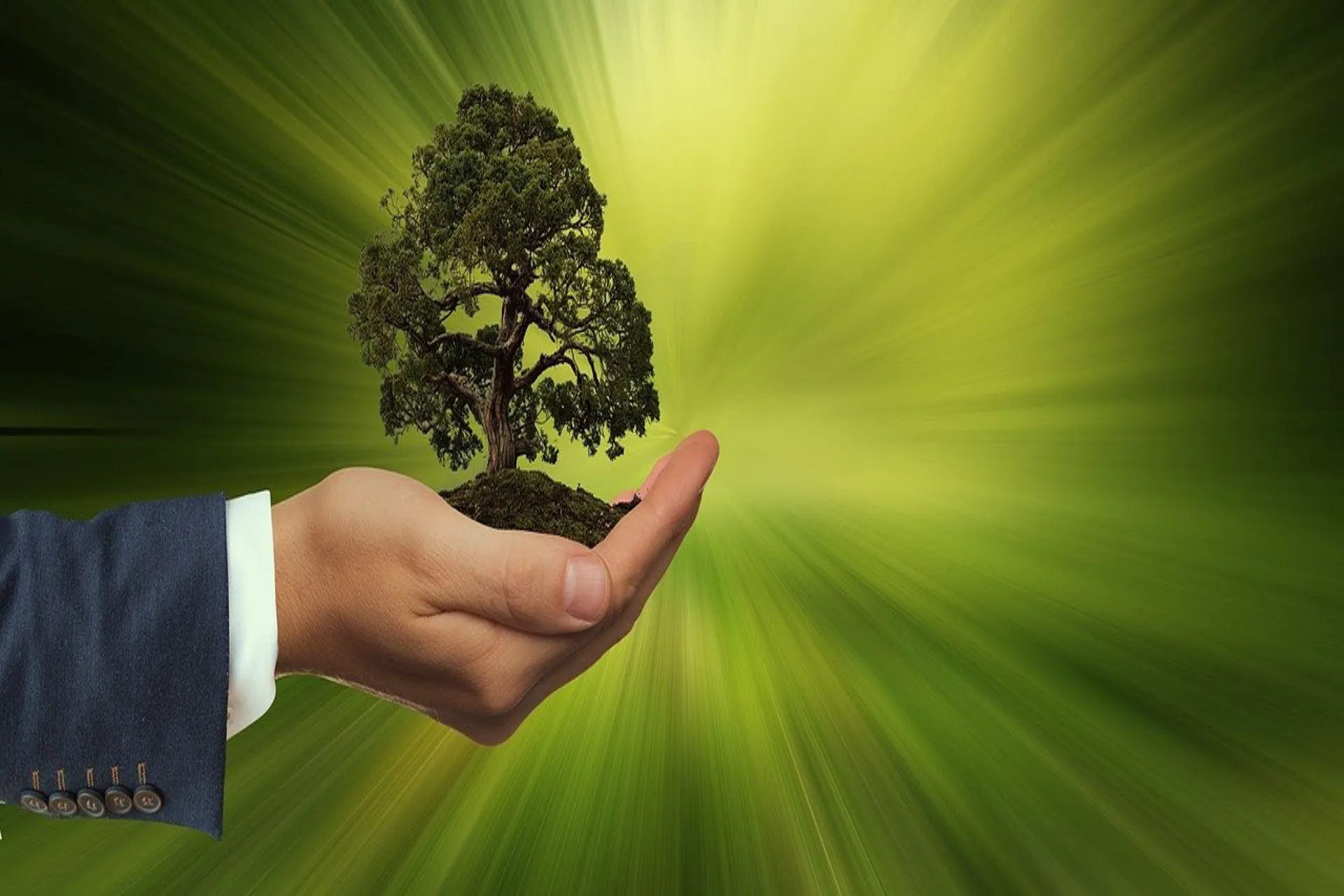 Oportunidades y problemas de startups centradas en la sustentabilidad Oportunidades y problemas de startups centradas en la sustentabilidad