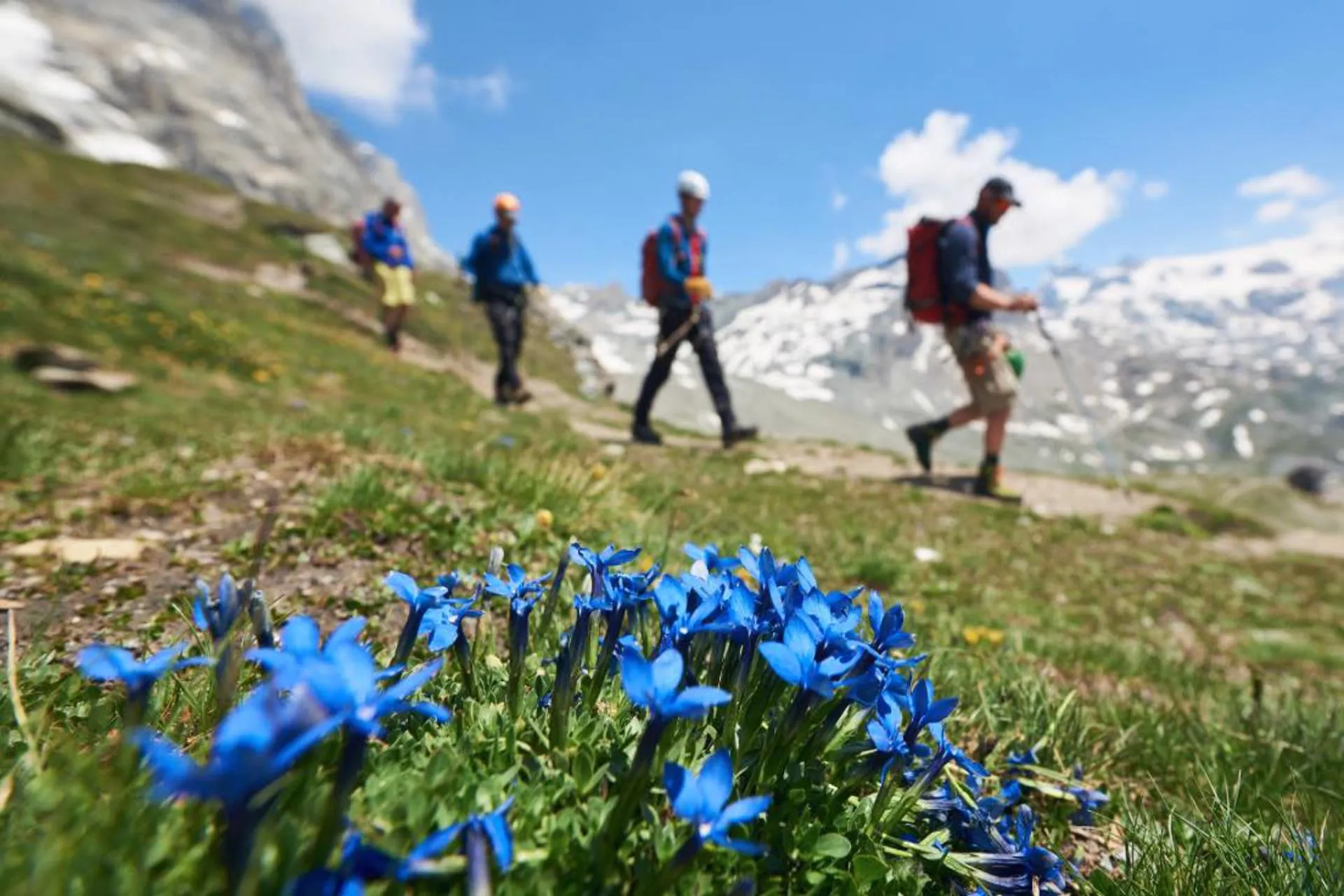 OMT: Nuevo informe destaca el potencial del turismo de montaña