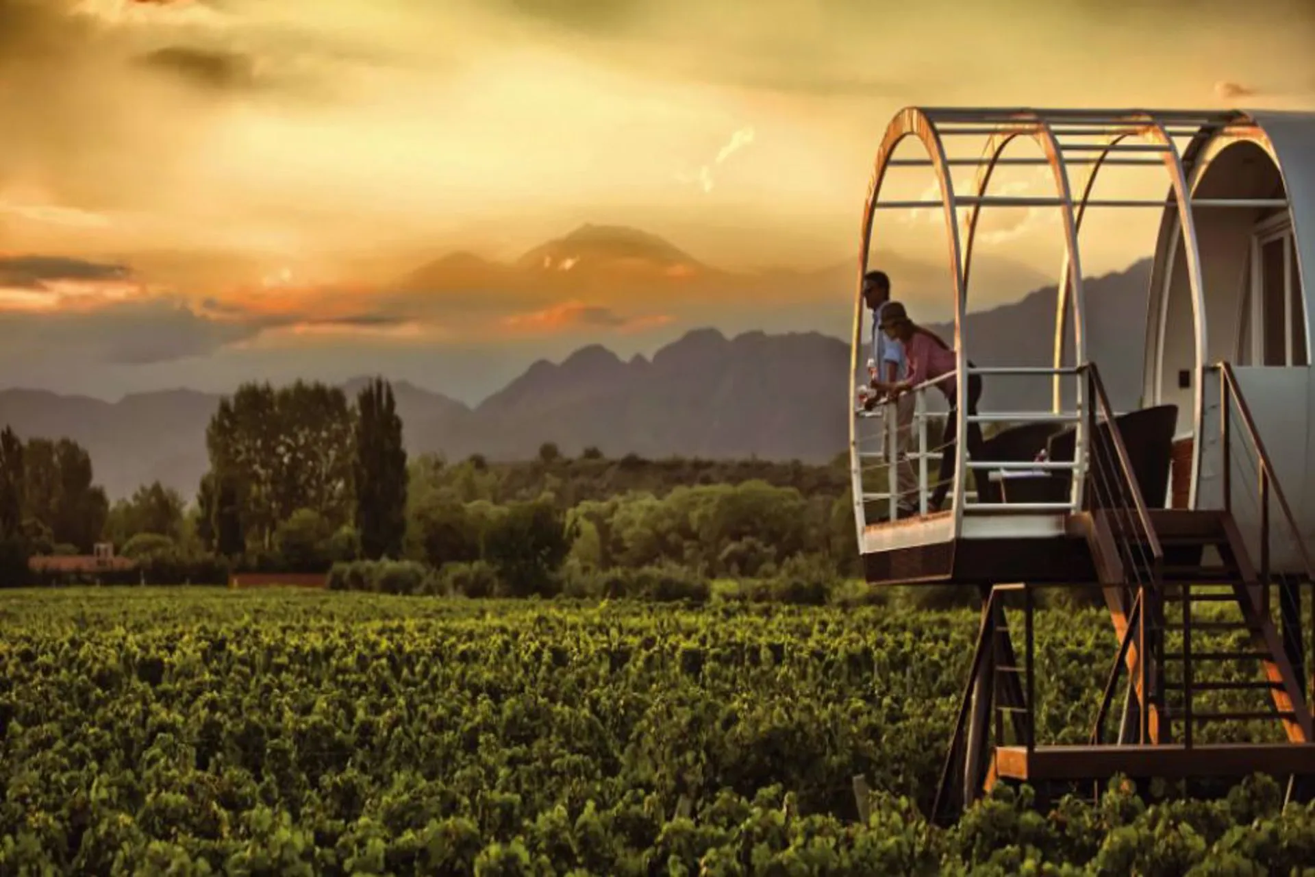 Argentina: el hotel de aspecto futurista que "flota" entre viñedos