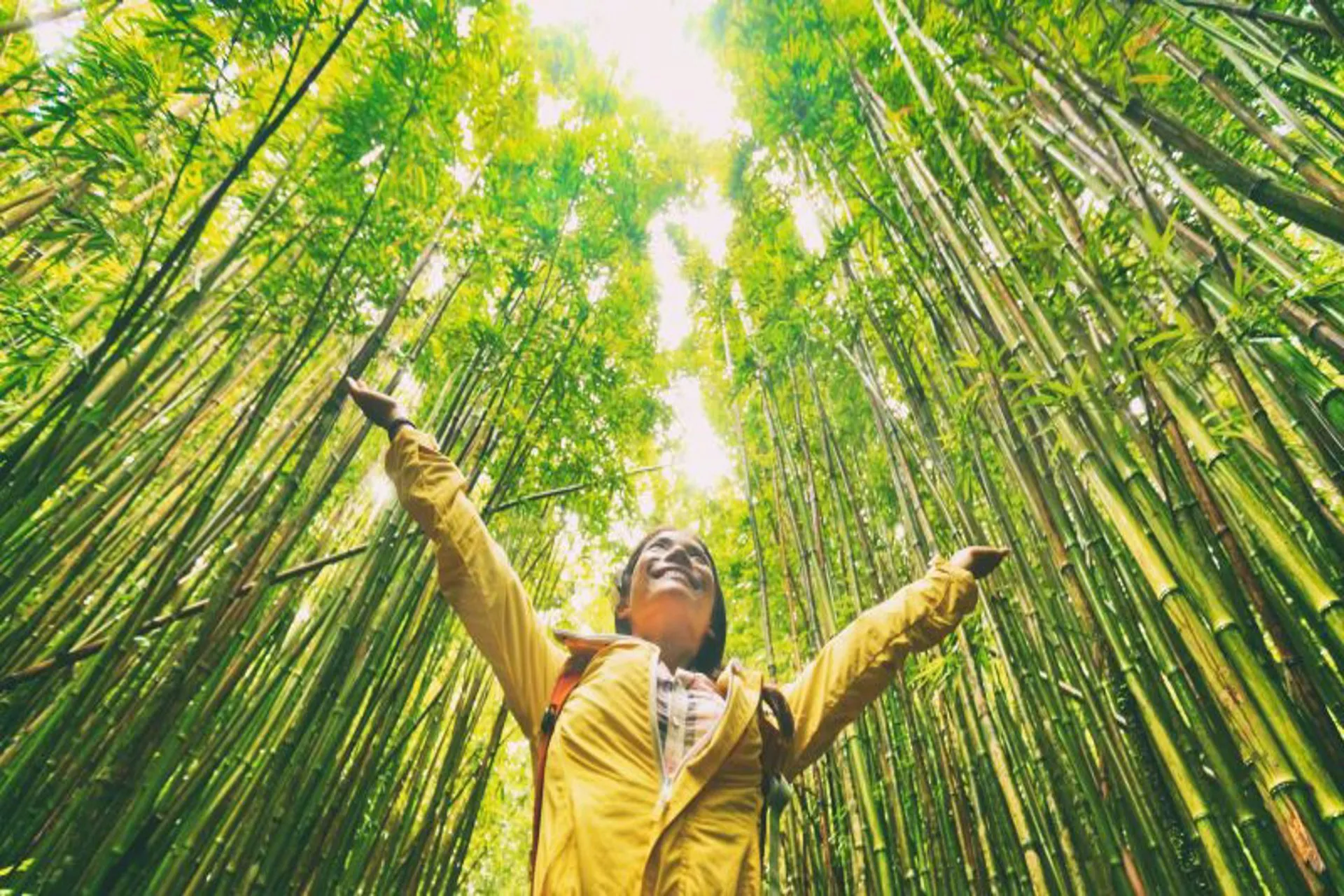 Sostenibilidad: los viajes se encuentran en una encrucijada