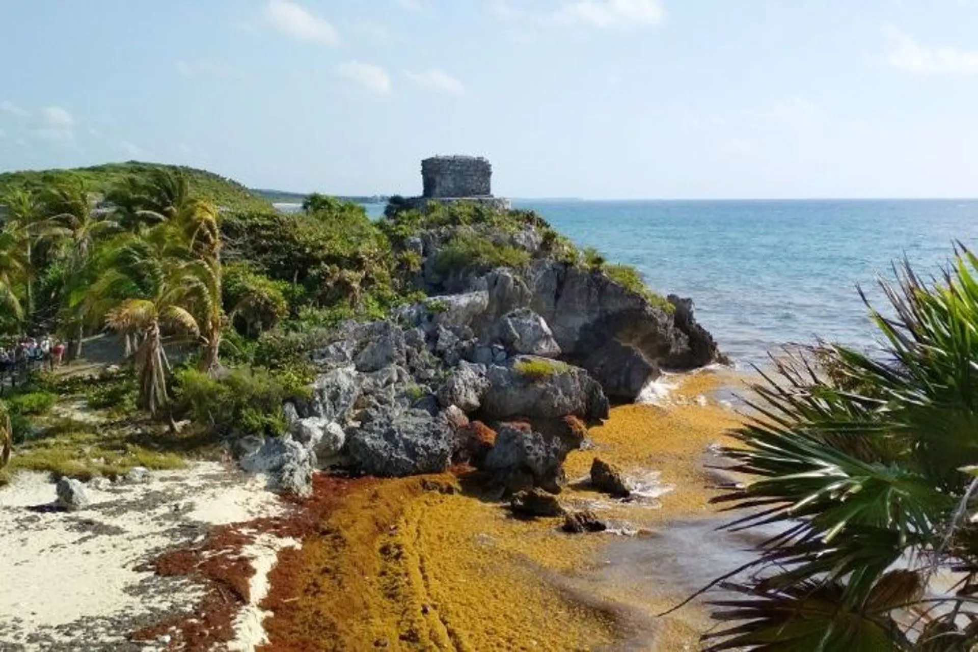 Más barreras anti-Sargaso instaladas en Tulum, México