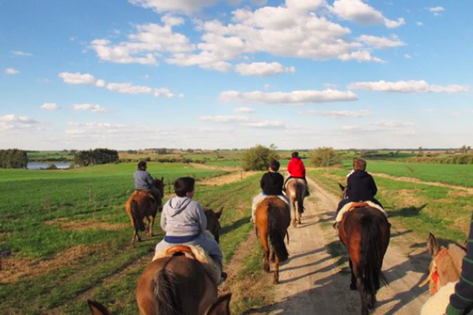 Turismo rural en fase de reactivación en Uruguay