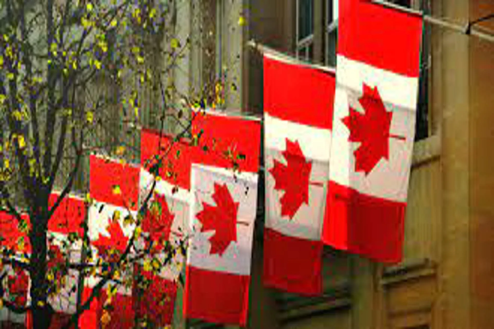 Canadá dará visas de nómade digital para trabajadores remotos